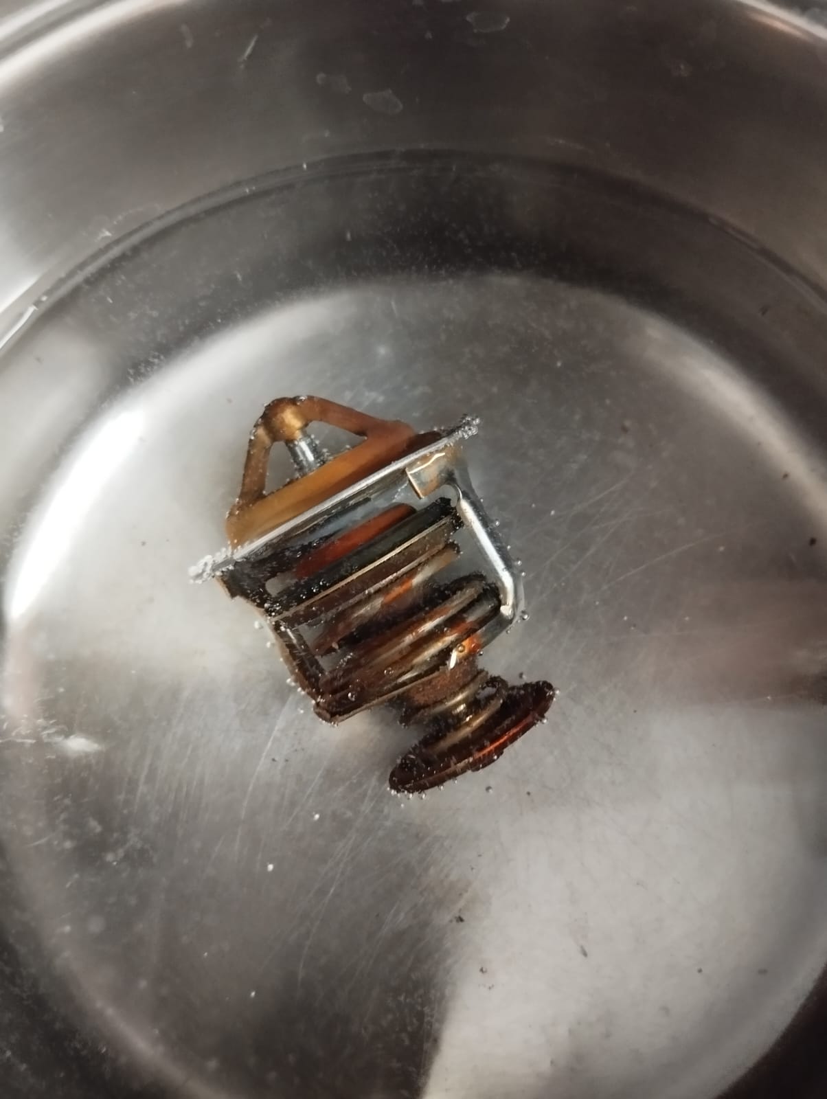 The thermostat taken out of the Nissan Sunny sitting in a pan of hot water during a bench test, its valve open and bubbles clinging to the spring.